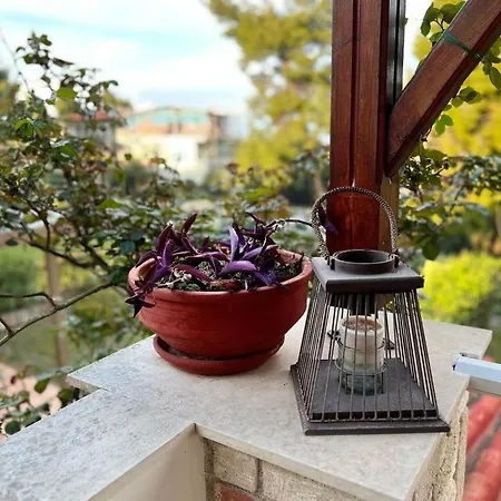 Little Paradise By The Sea