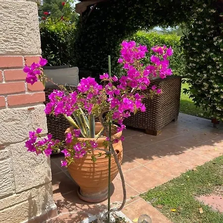 Villa Little Paradise By The Sea *