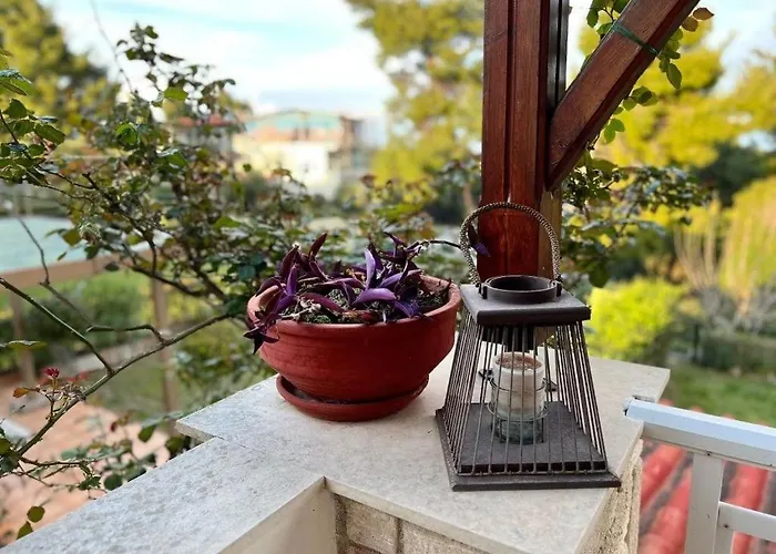 Little Paradise By The Sea